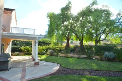 DSC_7373 (Large).JPG